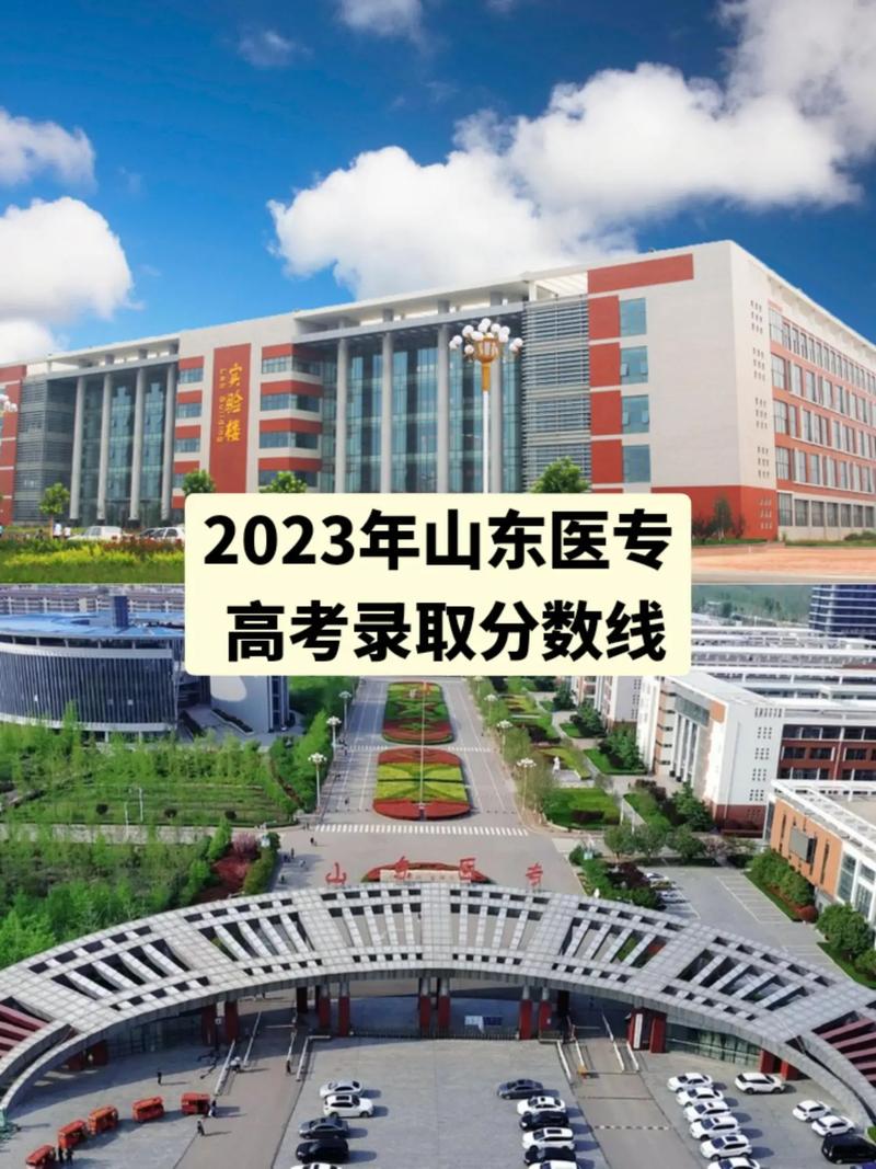 山東醫學高等專科學校分數線_山東醫學高等專科學校錄取分數線_青海理科類專科批錄取分數線