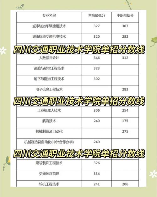 四川交通職業(yè)技術(shù)學(xué)院五年制大專錄取分?jǐn)?shù)線_四川交通職業(yè)技術(shù)學(xué)院分?jǐn)?shù)線_四川交通職業(yè)技術(shù)學(xué)院五年制大專簡介