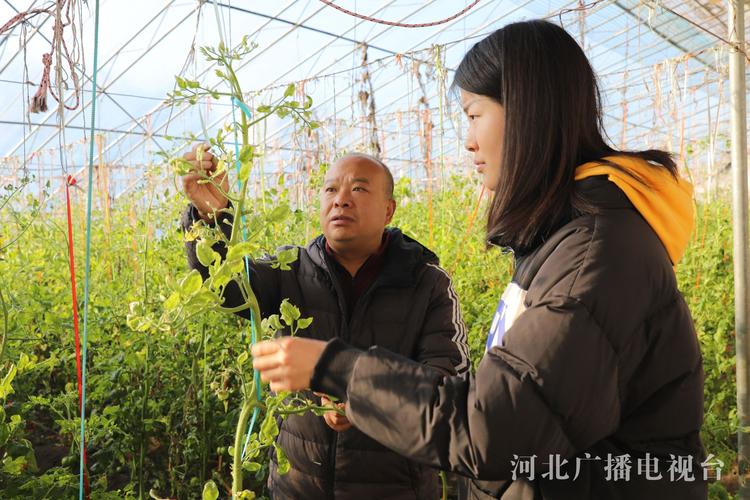 農(nóng)業(yè)職業(yè)技術(shù)大學(xué)_農(nóng)業(yè)職業(yè)大學(xué)技術(shù)學(xué)院官網(wǎng)_農(nóng)業(yè)職業(yè)技術(shù)學(xué)院百度貼吧