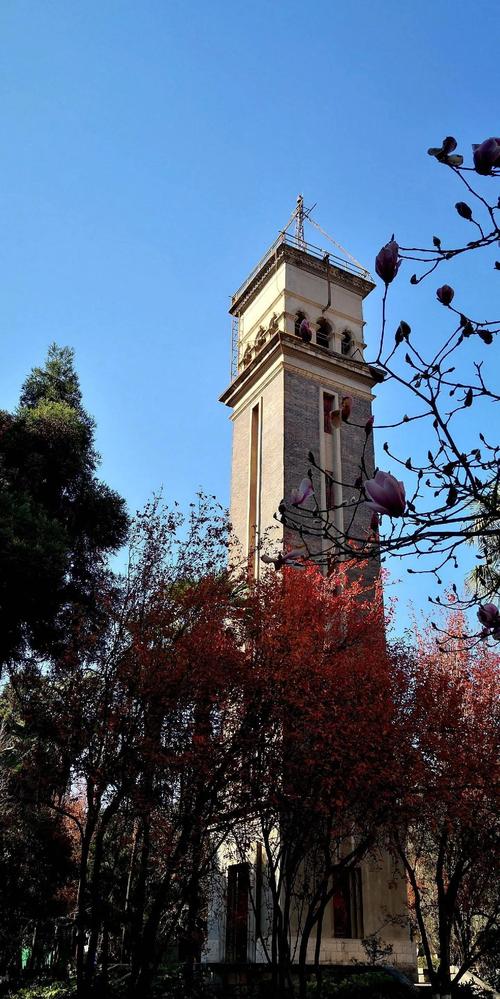 云南大學錄取分數線_河北大學2020錄取分數線_云南大學排名