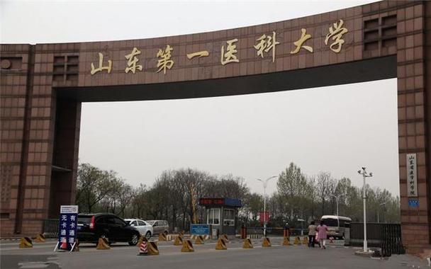濰坊醫(yī)學(xué)院錄取數(shù)據(jù)_山東醫(yī)學(xué)院口腔醫(yī)學(xué)專業(yè)_濰坊醫(yī)學(xué)院專科分數(shù)線
