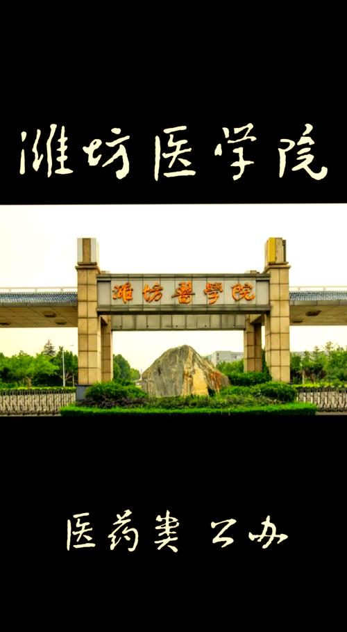 濰坊醫(yī)學(xué)院錄取數(shù)據(jù)_濰坊醫(yī)學(xué)院專科分數(shù)線_山東醫(yī)學(xué)院口腔醫(yī)學(xué)專業(yè)