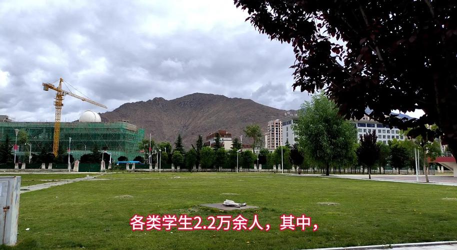 西藏大學錄取分數線2022_西藏大學招生困境_偏遠地區211大學招生困難