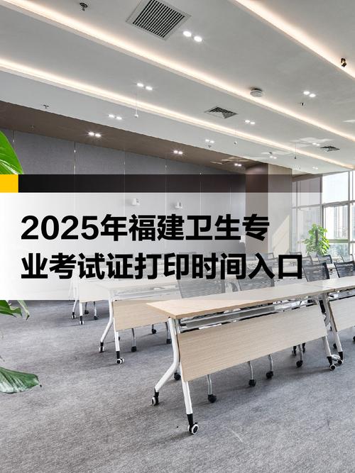 2025年衛(wèi)生專業(yè)技術(shù)資格考試準考證打印入口_準考證打印時間2025年4月2-20日_國家醫(yī)學考試網(wǎng)準考證打印入口官網(wǎng)