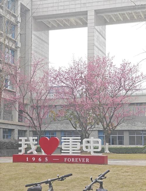 重慶電子工程職業學院性質_重慶電子工程職業學院分數線_重慶電子工程職業學院幾本
