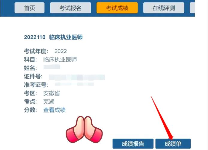 2021年執(zhí)業(yè)醫(yī)師資格考試二試成績查詢 _執(zhí)業(yè)醫(yī)師成績查詢?nèi)肟诠倬W(wǎng)_ 國家醫(yī)學(xué)考試網(wǎng)成績查詢?nèi)肟?